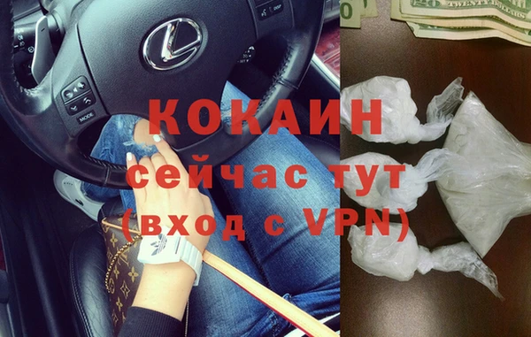 сатива Ладушкин
