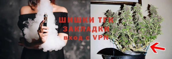 PSILOCYBIN Лагань