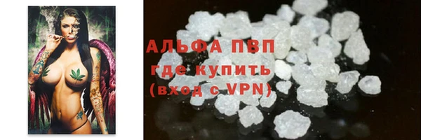 PSILOCYBIN Лагань