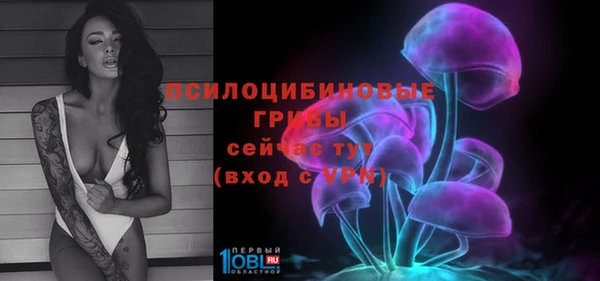 гидропоника Красноперекопск