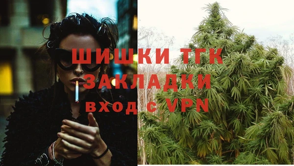 сатива Ладушкин