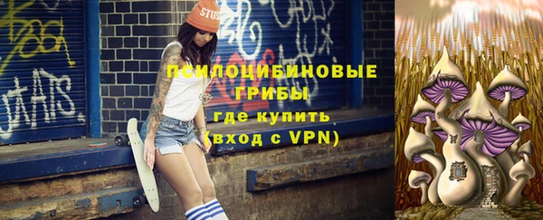 PSILOCYBIN Лагань