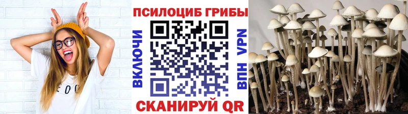 магазин  наркотиков  Лангепас  Псилоцибиновые грибы мухоморы 