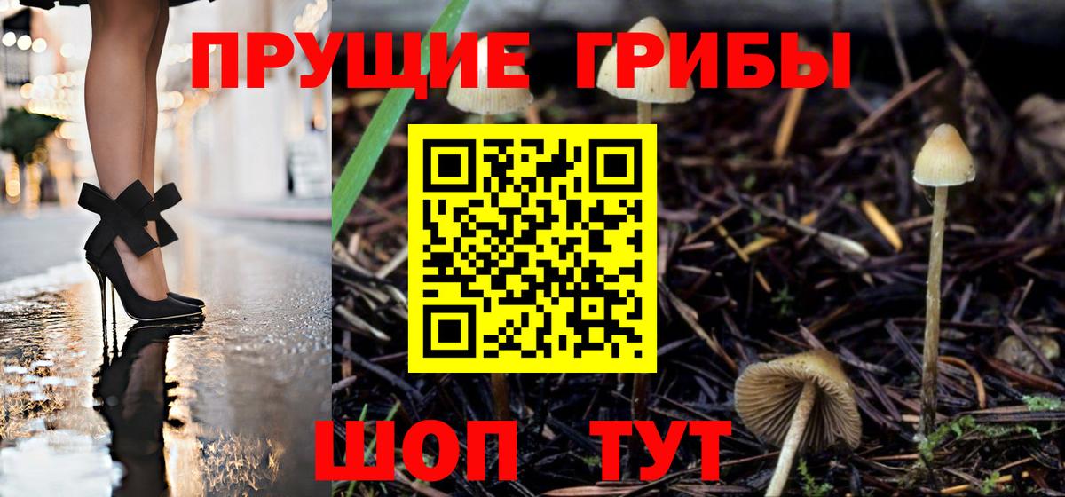 Галлюциногенные грибы MAGIC MUSHROOMS  Вход с VPN  Лангепас 