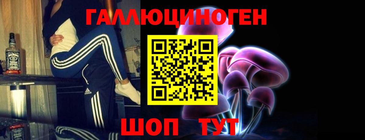 Галлюциногенные грибы Psilocybe Лангепас
